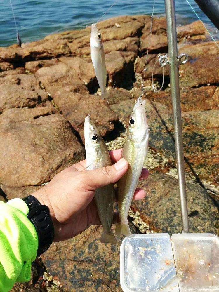 海边钓沙尖鱼技巧,海边钓鱼的技巧和方法图解