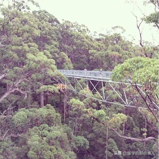 澳大利亚有哪些旅游胜地,澳大利亚有什么好玩的免费景点