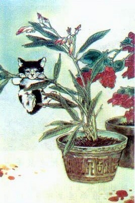 不同年代的小学课文插图,小学课文插图还记得多少