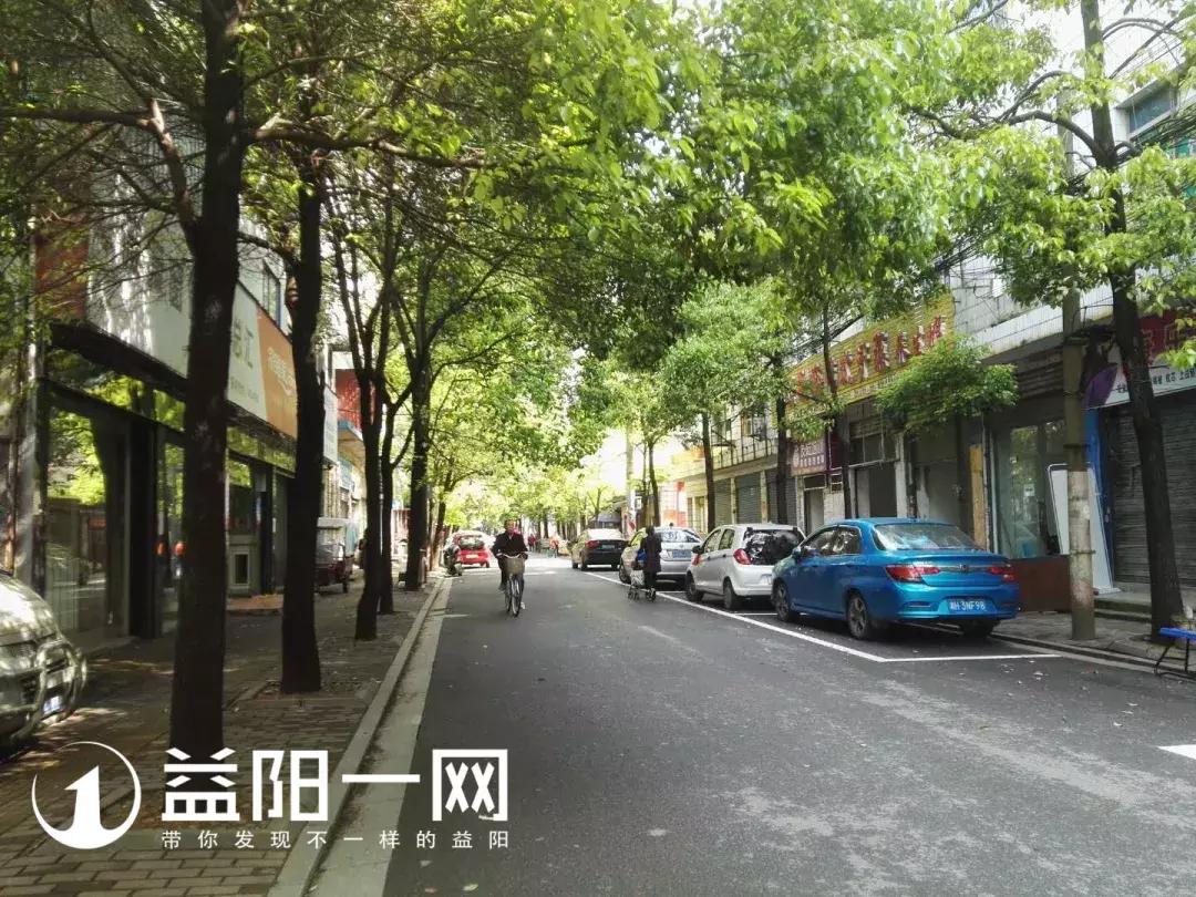 益阳车主苦不堪言！一停就抄牌！没有停车位，车子怎么办？