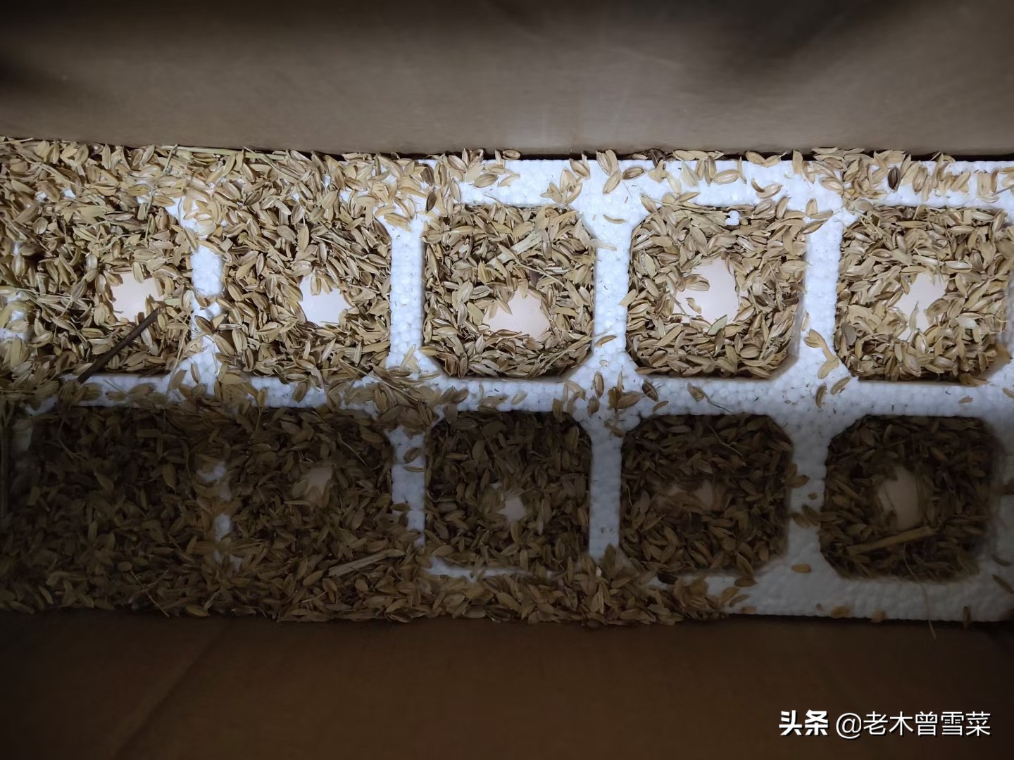 2021吃好蛋~我买过的那些电商鸡蛋