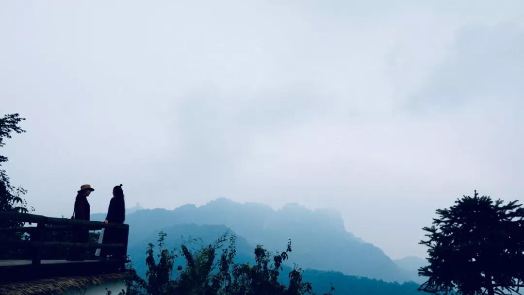 成都民宿推荐青城山,青城山花娟树屋民宿