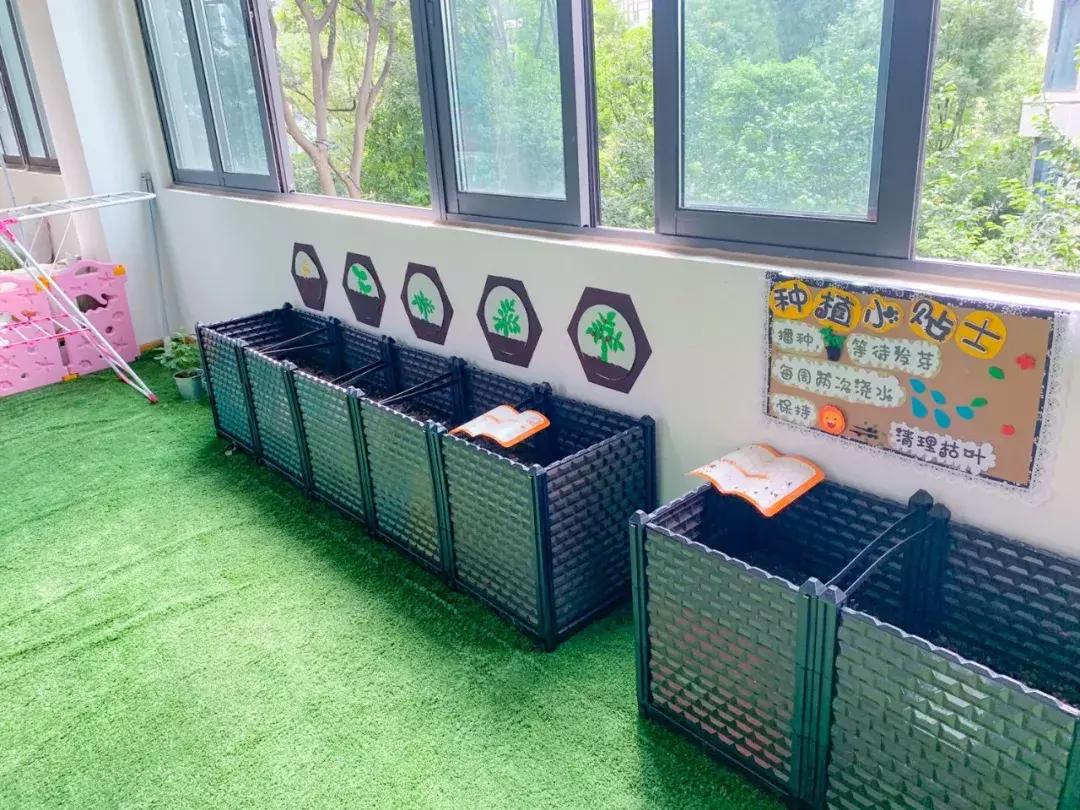 锦江托育,普惠托育锦江区