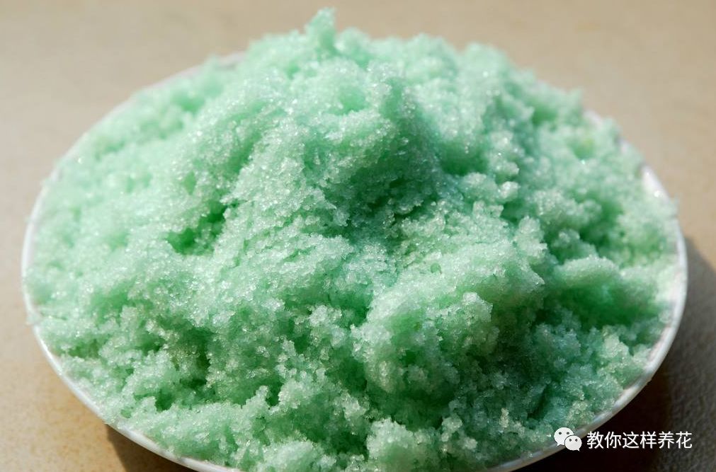 养花用多菌灵和磷酸二氢钾,养花磷酸二氢钾如何正确使用