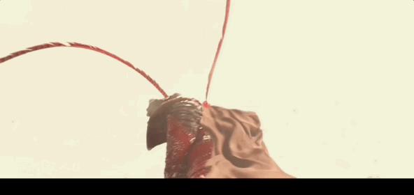 佟湘玉跟金湘玉,孙悟空佟湘玉