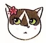 猫病系列视频,猫咪高钾血症怎么治疗