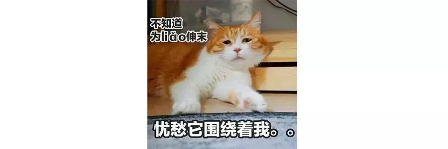 个人简历一般用word还是excel制作,如何用word写一份个人简历