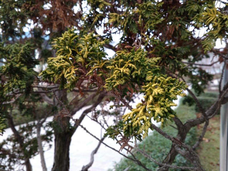 联想手机乐檬k3,联想乐檬k30