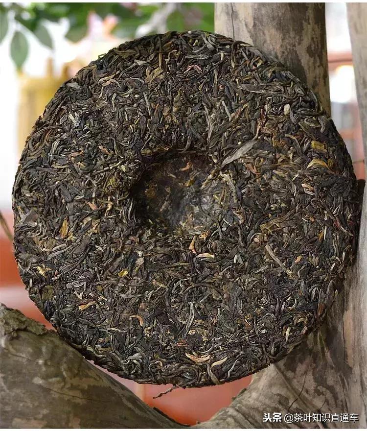 普洱茶新茶茶质特征是什么,普洱新茶中期茶老茶怎么区分