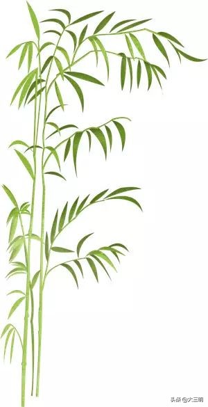 绿都最氧三明景区预约,绿都最氧三明旅游攻略