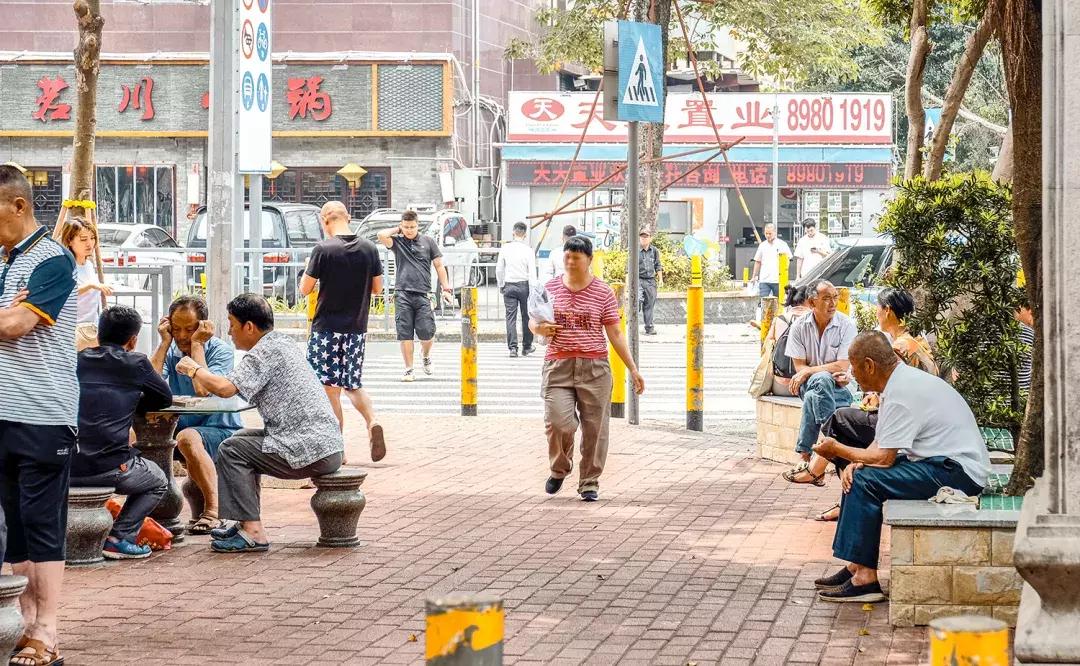附近莲塘,附近的莲塘
