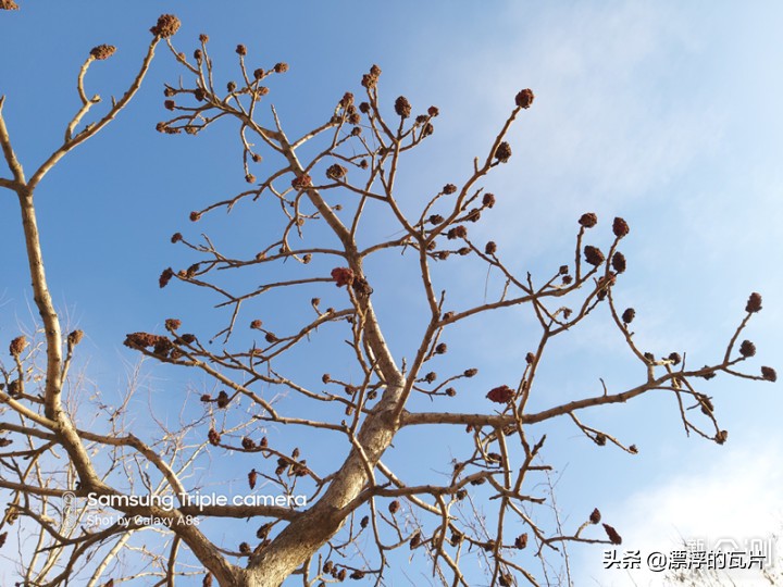 三星galaxya8s参数配置详情,三星a8s有哪些优缺点