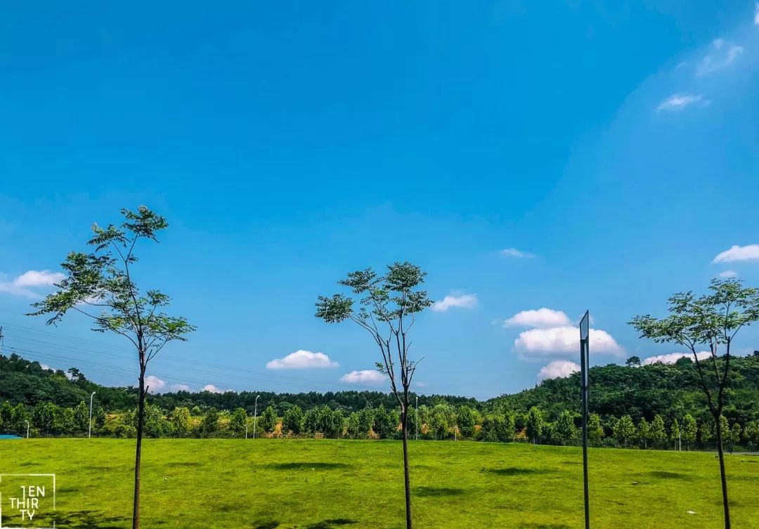 武汉11月打卡景点和网红地,武汉50个值得打卡的地方