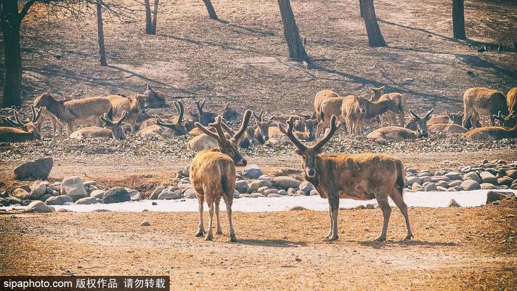 这10个北京之最，一般人都不可能去过五个以上！