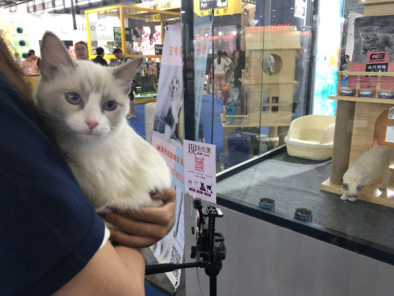 亚洲宠物展2022直播,亚洲宠物展会直播