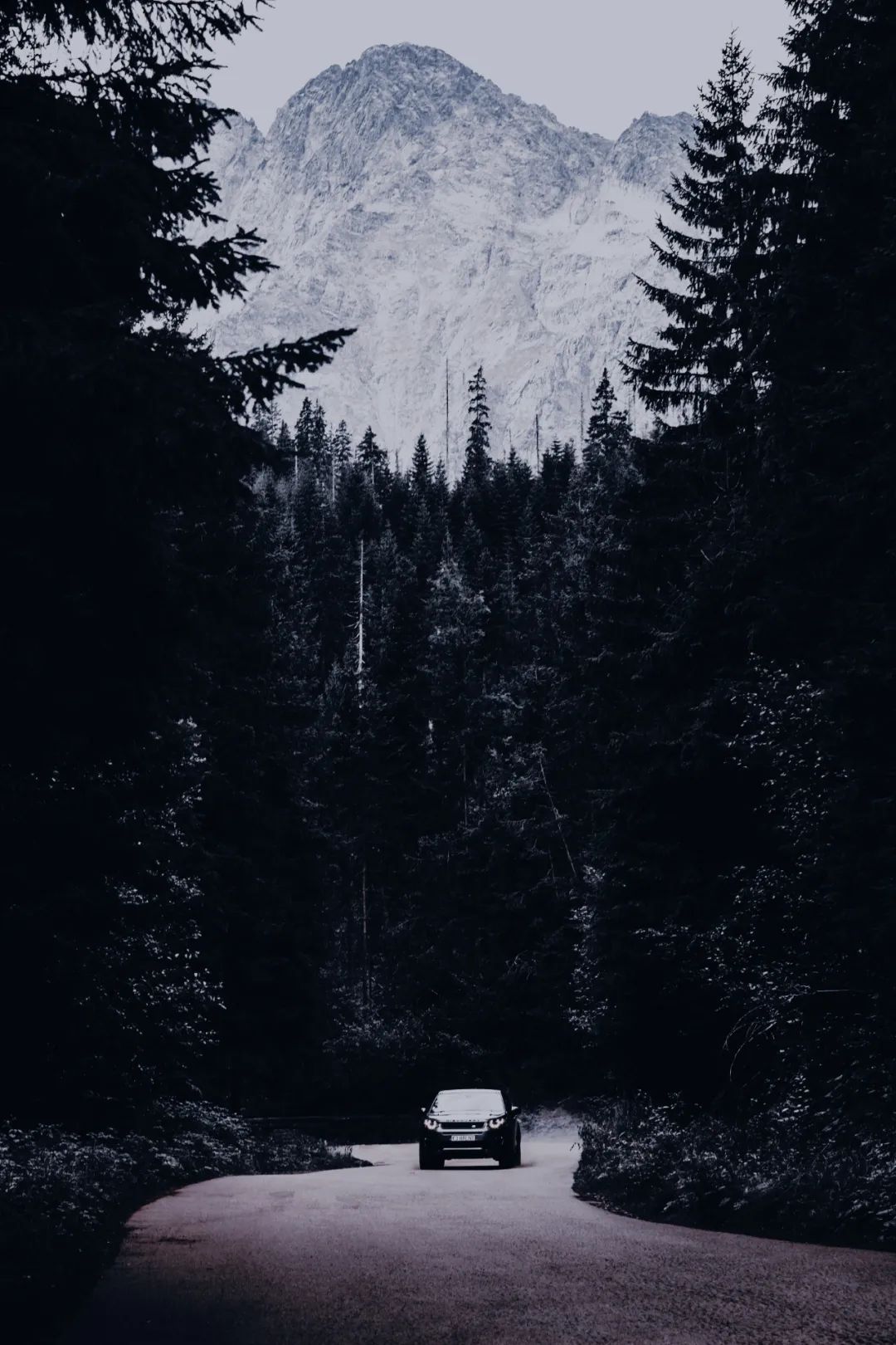 ins风暗黑小众照片,暗黑风ins图