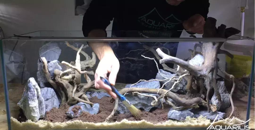 草缸造景教程：这个缸居然能装下一头“犀牛”？