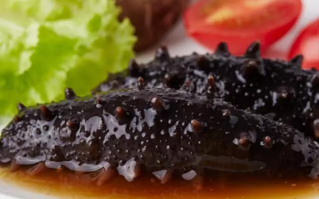 常吃海参的朋友给你几个忠告,吃海参前这9件事你要懂