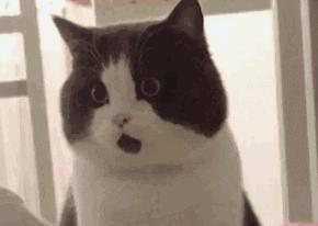 tomford单品,tomford要出新眼影了吗