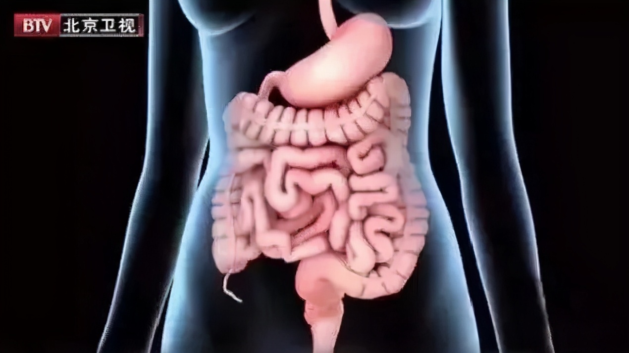 三月第一菜,心脏血管都超爱!挑选认准这一点,巧妙搭配味更鲜