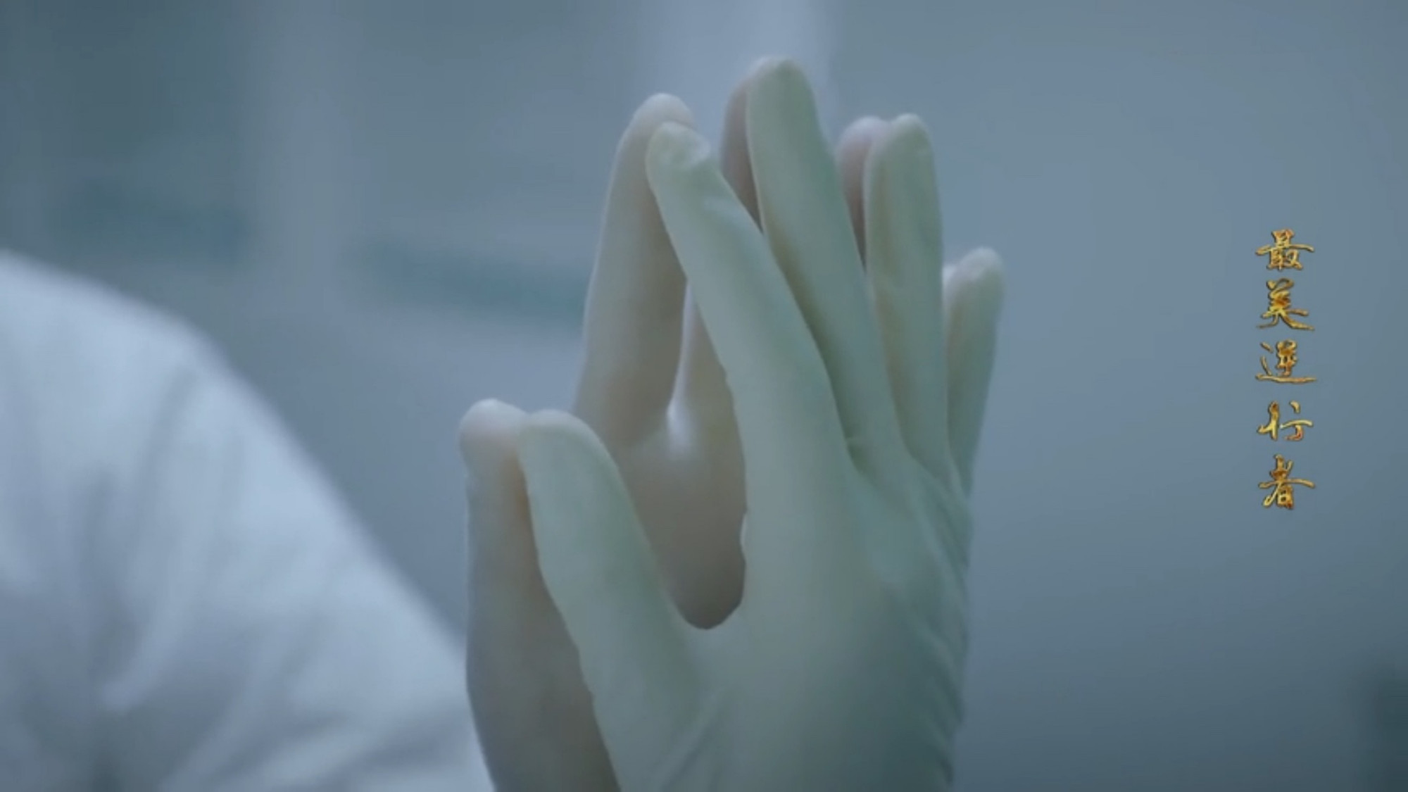 《最美逆行者》岳鲁冰回复信息才知道“别来，无恙”的含义