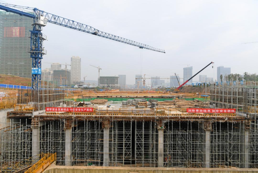 开挂了！比肩世界的爆款区域利好多到数不清！一般人已高攀不起