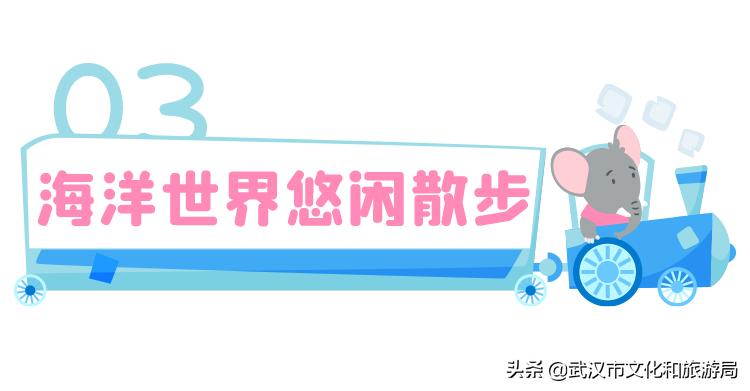 海洋馆武汉冬天,武汉伢周游世界