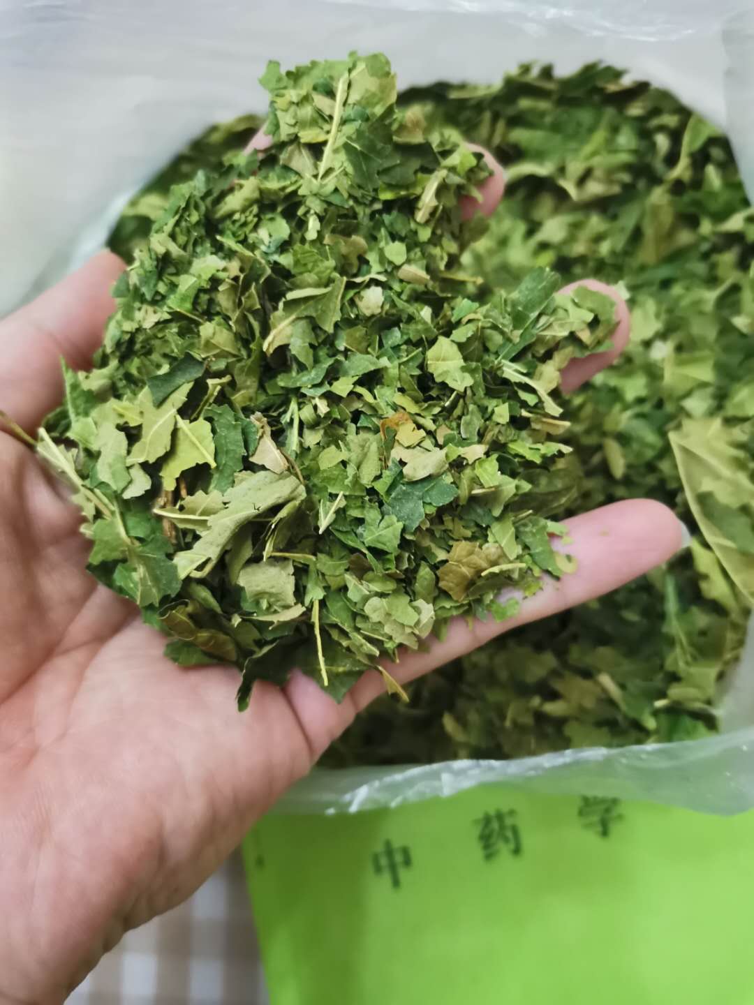 纯桑叶的药用价值是什么,既是食品又是中药材目录