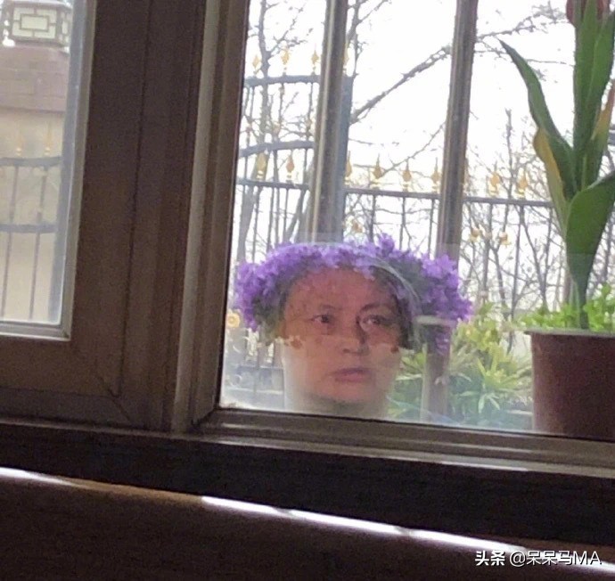 密室大逃脱搞笑记,密室大逃脱段子