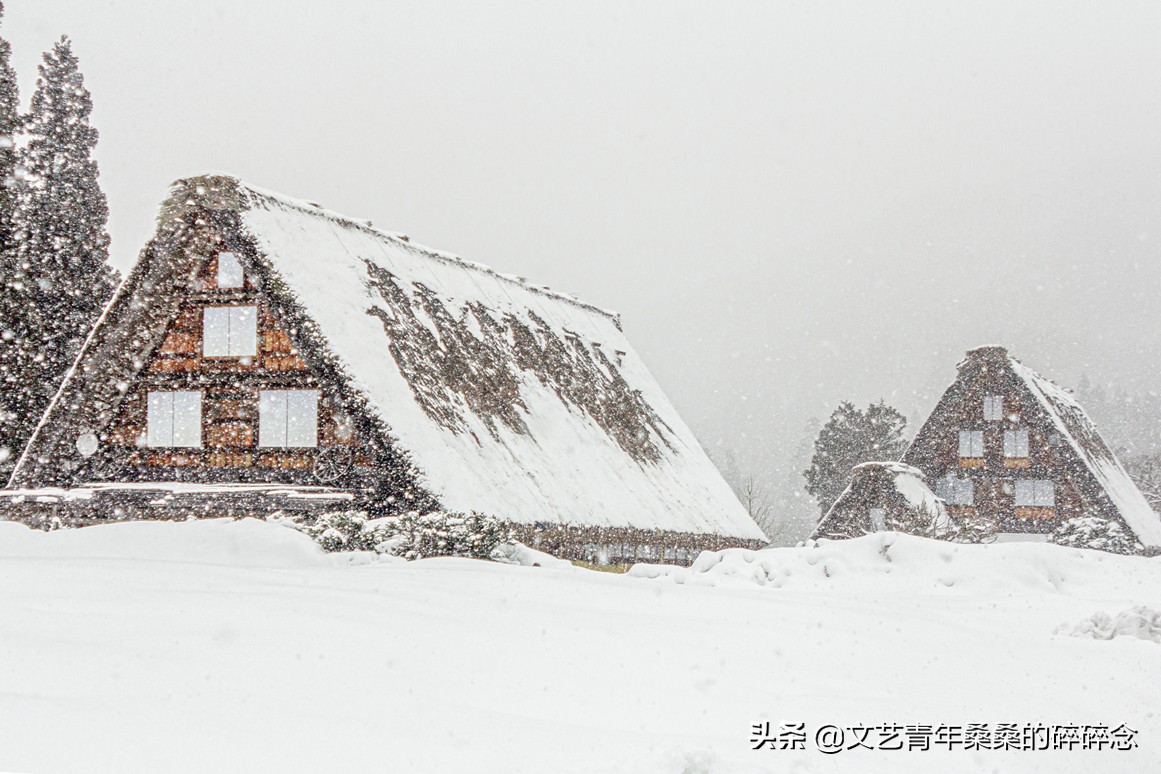 冬季日本的自驾游攻略,冬日游日本名古屋攻略