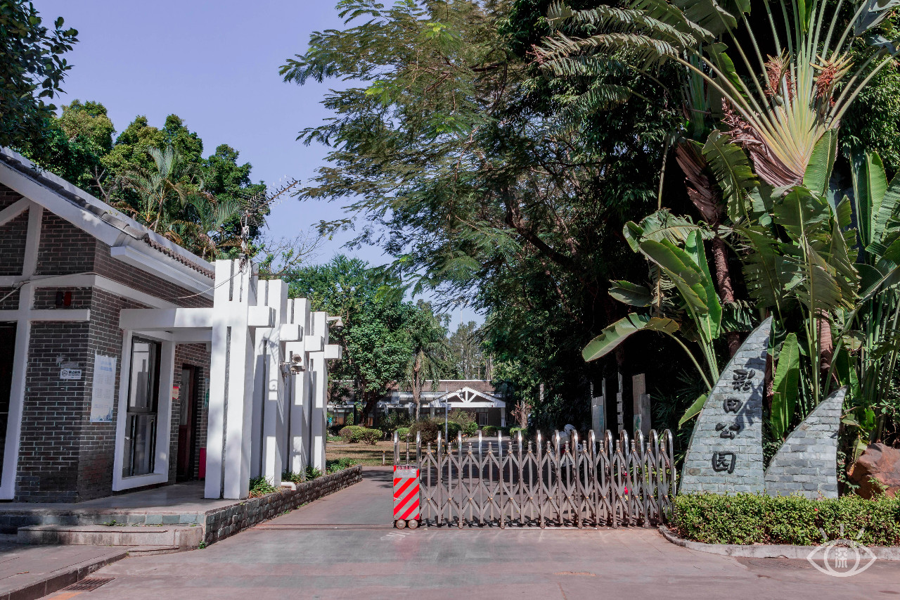 深圳十大顶级公园,深圳市十大风景公园排名