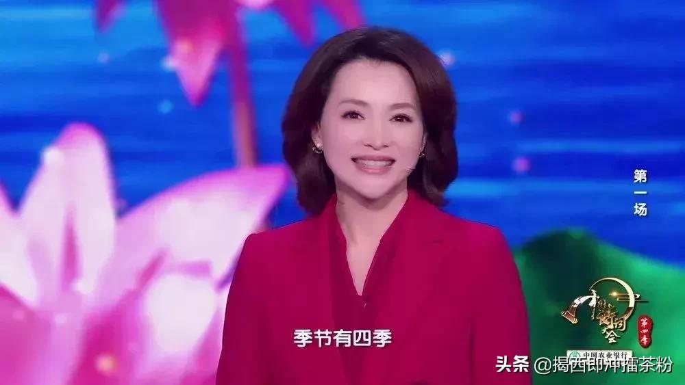 董卿关于四季诗词的开场词,董卿演讲的中国诗词开场诗