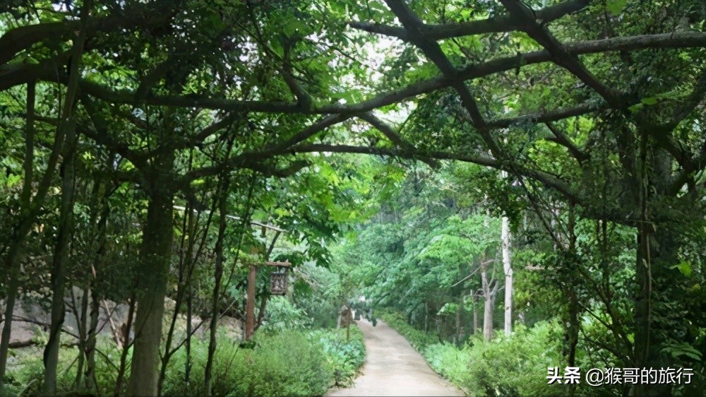 这才是海南最美的乡村,海南桃花源