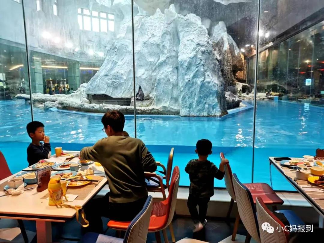 珠海长隆旅游攻略吃住一体,带孩子去珠海长隆攻略