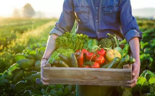 美菜网2019值不值得去,美菜网平台垄断行为