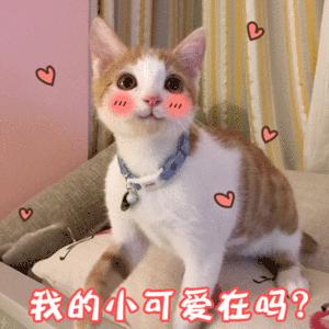 口红显白适合黄黑皮品牌,黄黑皮最显白的十大口红