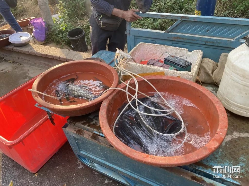 赚祖！这群莆田人靠着这些东西，就能日赚500块钱，厉害