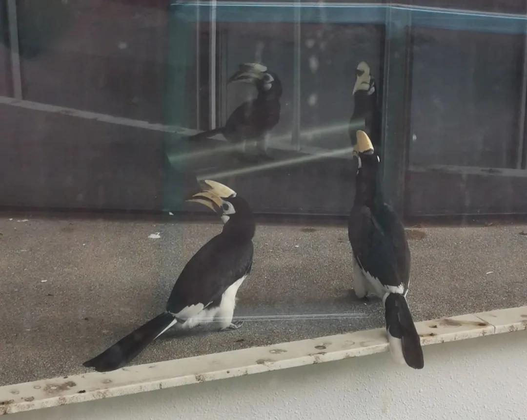 北京指南者留学攻略,指南者留学广州