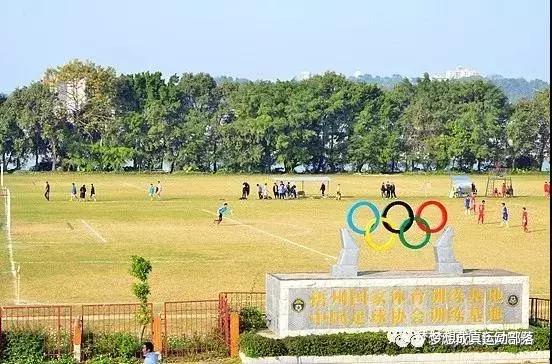 球队比赛招募,球队招募