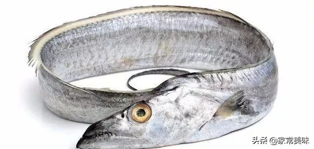 买带鱼小窍门,买带鱼挑选带鱼诀窍