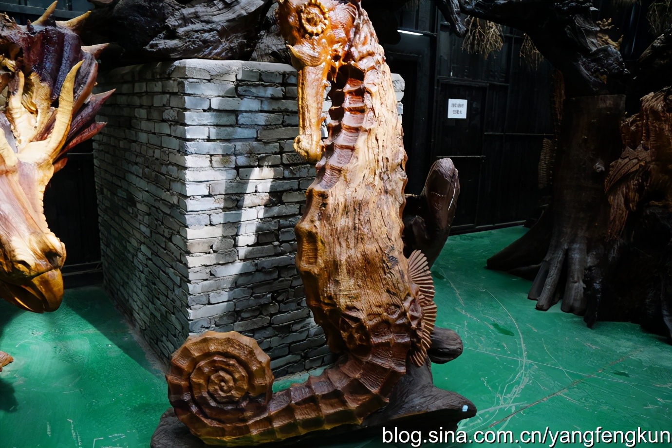 世界上最大的蜗牛介绍,全世界最大的蜗牛