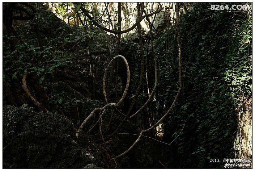 贵州黄果树天星桥游记,贵州黄果树天星桥景区