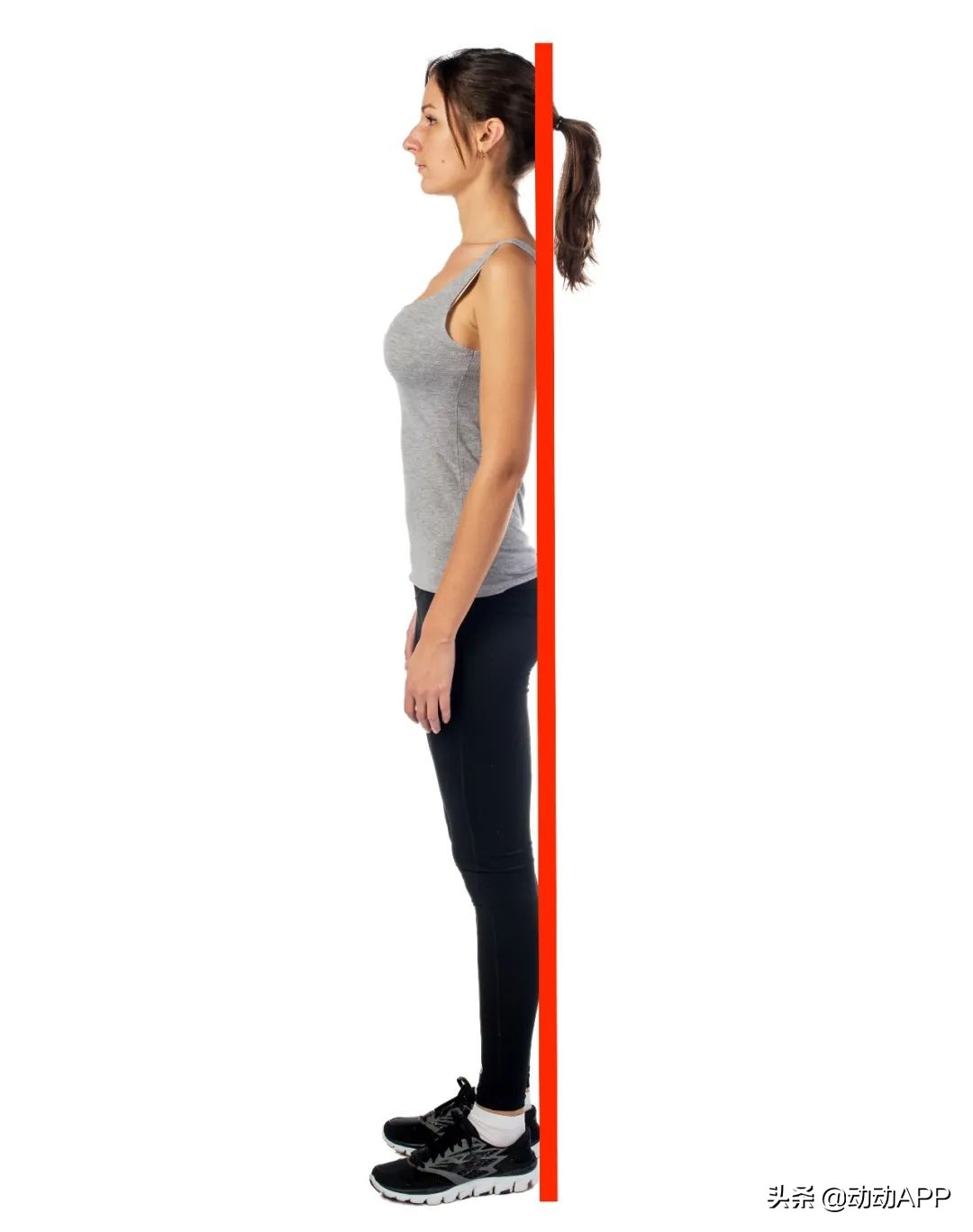 每天早晚各30分钟超燃脂,每天20分钟燃脂一整天