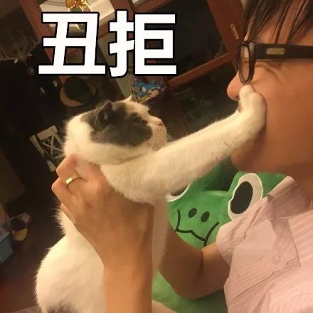 铲屎官请自重图,铲屎官请自重