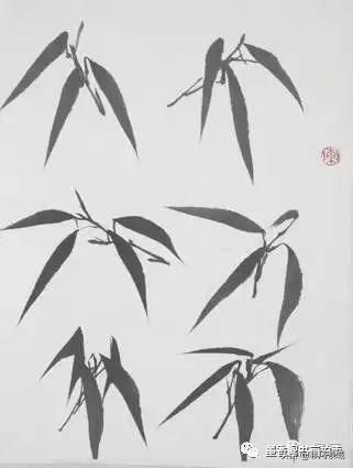 国画教程竹子的写意画法,国画写意竹子画法步骤