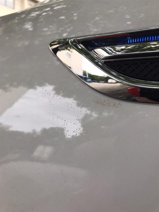 汽车漆面起泡是怎么回事,漆面起泡修复