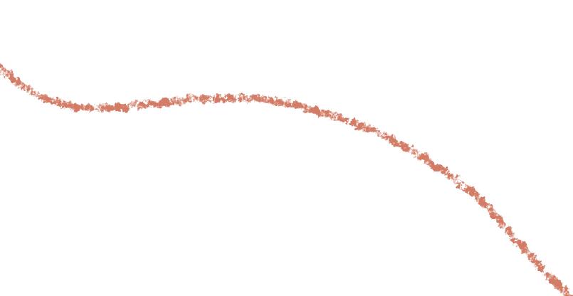 广州现在花开的季节,广州现在什么花开了