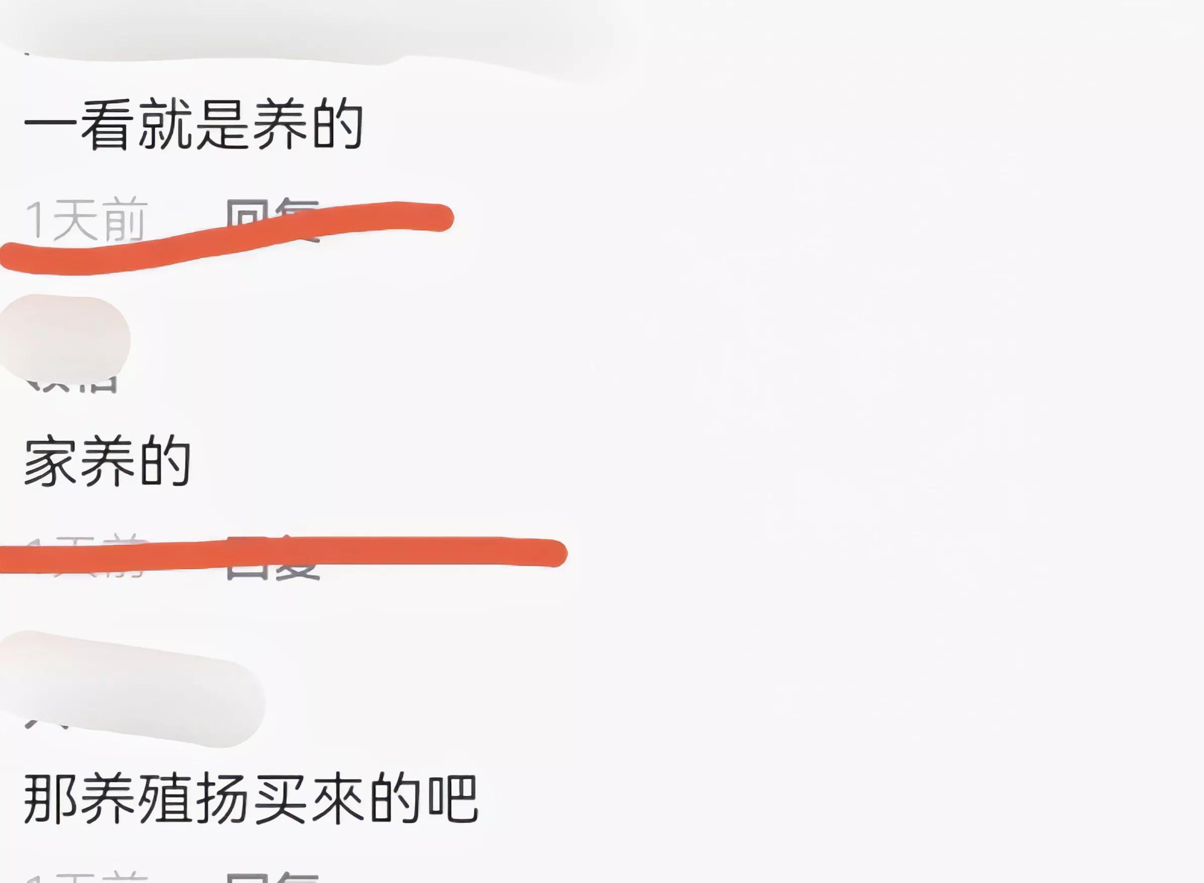 江苏钓野生鳗鱼,江苏仿野生鳗鱼