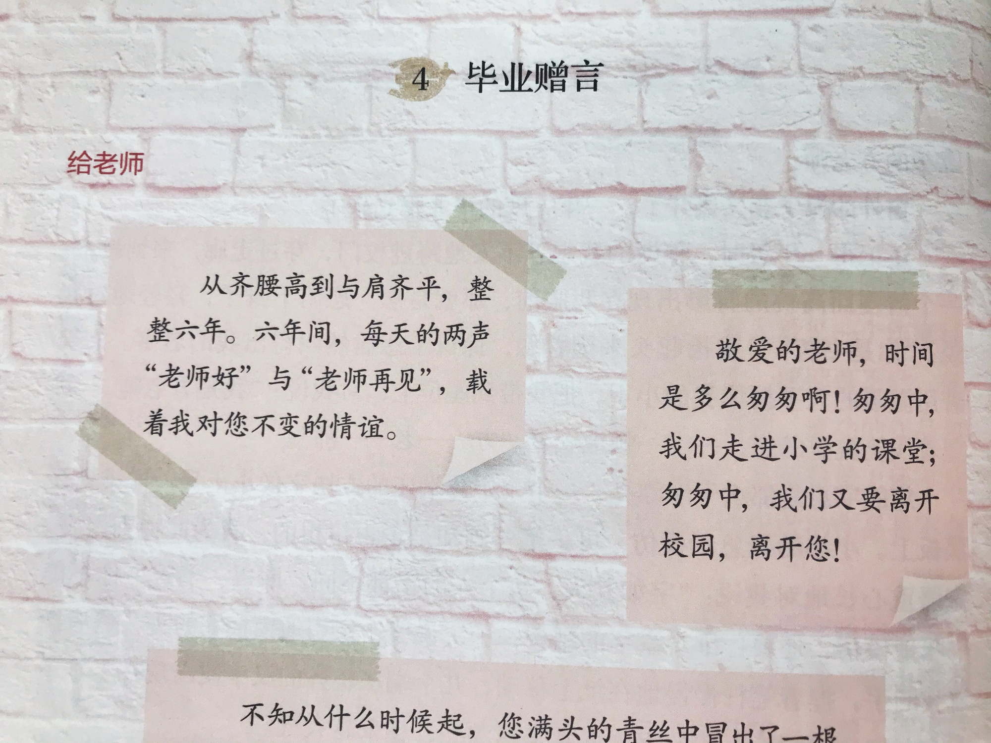 给语文老师写一封书信该怎么写,三年级书信格式写给老师的一封信