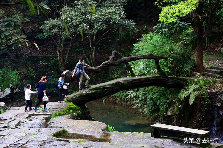 福建厦门美丽的城市,福建厦门最漂亮的地方